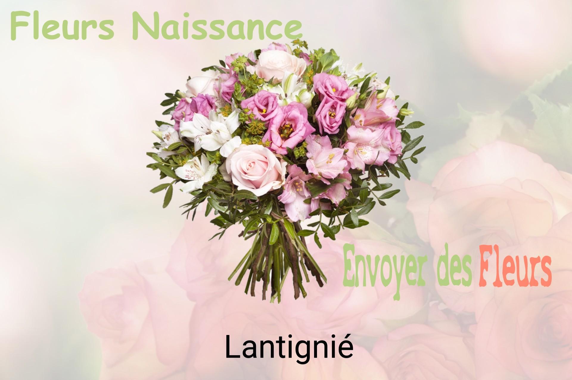 Bouquet de fleurs de naissance livré à Lantignié